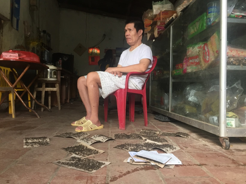 [-]Kinh[-]hoàng[-]ruồi[-]từ[-]bãi[-]rác[-]Nam[-]Sơn[-]"tấn[-]công"[-]nhà[-]dân